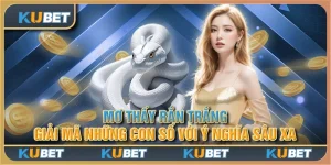 Mơ thấy rắn trắng - giải mã những con số với ý nghĩa sâu xa