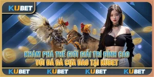 Khám phá thế giới giải trí đỉnh cao với đá gà cựa dao tại Kubet