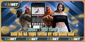 Kubet - Nền tảng xem đá gà trực tuyến uy tín hàng đầu