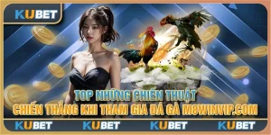 Top những chiến thuật chiến thắng khi tham gia đá gà m8winvip.com