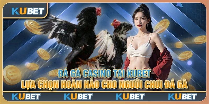 Đá gà casino tại Kubet - Lựa chọn hoàn hảo cho người chơi đá gà