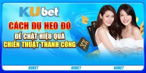 cách dụ heo đỏ